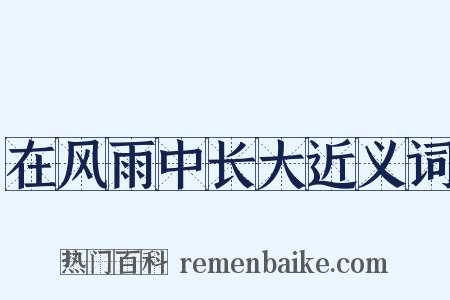 在风雨中长大近义词是什么意思的图片